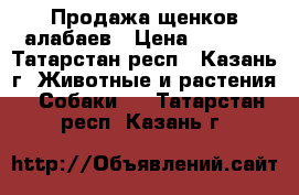 Продажа щенков алабаев › Цена ­ 8 000 - Татарстан респ., Казань г. Животные и растения » Собаки   . Татарстан респ.,Казань г.